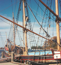 Dove Replica